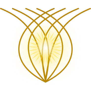 Saughina Logo